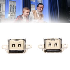 2 Pack Type-C Charging Port Replacement Switch Lite Charging Port, USB Type C Charging Socket for HDH 001, Replacement Dock Connector, Console Accessories HDH-001, USB-C Charging Port