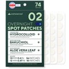 Cara Seoul Kara Seoul Acne Overnight Care Spot Patch 74 Sheets