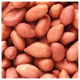 Everwilde Farms – 1 Lb Virginia Jumbo Peanut Seeds - Gold Vault Bulk