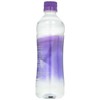 Penta Purified Drinking Water, 16.9 oz
