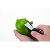 Endoshoji TKG BKTJ401 Professional Kitchen Tool, Lemon Zester with Polypropylene