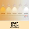 Full Spectrum Light Bulb, 6000K Natural Sunlight Bulbs, 9W 60W