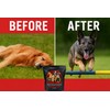 Power Boost Canine Performance Formula – Low Fat, High-Carb Rehydration