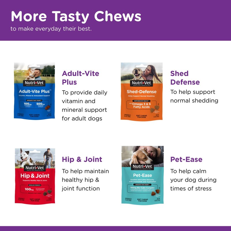 Nutri-Vet Pre & Probiotics for Dogs, Digestive Support, Upset Stomach,