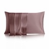 THXSILK Silk Pillowcase 22 Momme 100% Pure Mulberry Natural Soft
