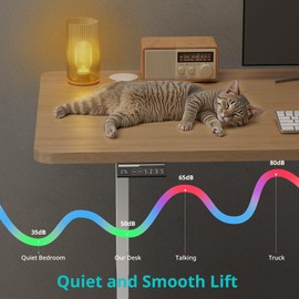 Electric Standing Desk, Adjustable Height Stand up Desk, 24x55 Inches Sit Stand Home Office Desk with Cable Management, 3 Memory Preset Adjustable Height Desk Computer Home Office Desk, Natural