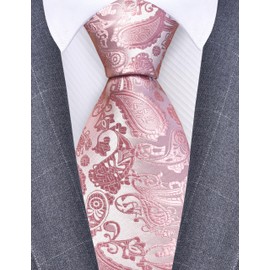 GUSLESON Dusty Rose Tie for Men Wedding Solid Silk Paisley Necktie for Party (1036-23)
