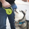 Pecute 16 ft Retractable Dog Leash with LED Light Rechargeable,