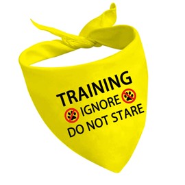 1 Piece Training Ignore Do Not Stare Dog Bandana Dot Not Pet Working Dog Bandana Service Dog Gift (Do Not Stare D1)