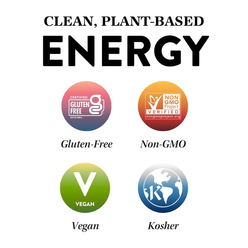 Protein Puck Vegan Plant based Protein Bar – Natural Healthy