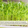 GSZEPSEX 1 Roll 10" x 120" Microgreens Growing Trays Jute