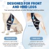 Universal Dog Knee Brace – Torn ACL, Joint Support, Front/Back