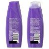 Aussie Miracle Curls 샴푸 컨디셔너 세트 각 12.1fl oz Aussie
