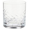 Schott Zwiesel Tritan Crystal Glass Distil Barware Collection Arran Old