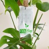 CO2Bag For vigorous plant growth - improves taste, colour and