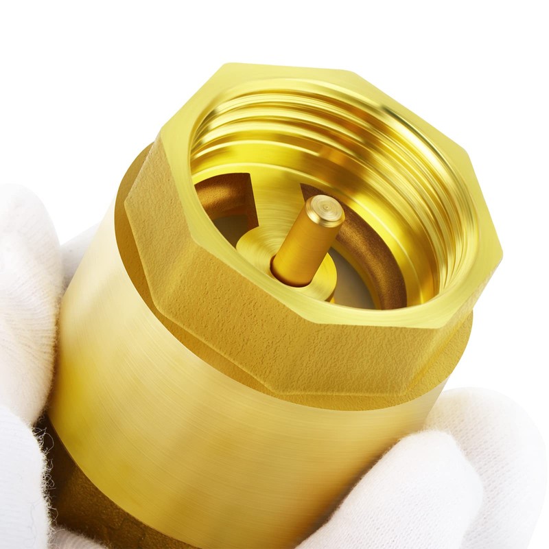 ERGAOBOY 2 Pcs One Way Brass Check Valve, 3/4" BSP