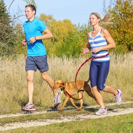 Hands Free Dog Leash Training Lead Double Snap Grommet Adjustable, Small 5/8" x 7.5’ Black