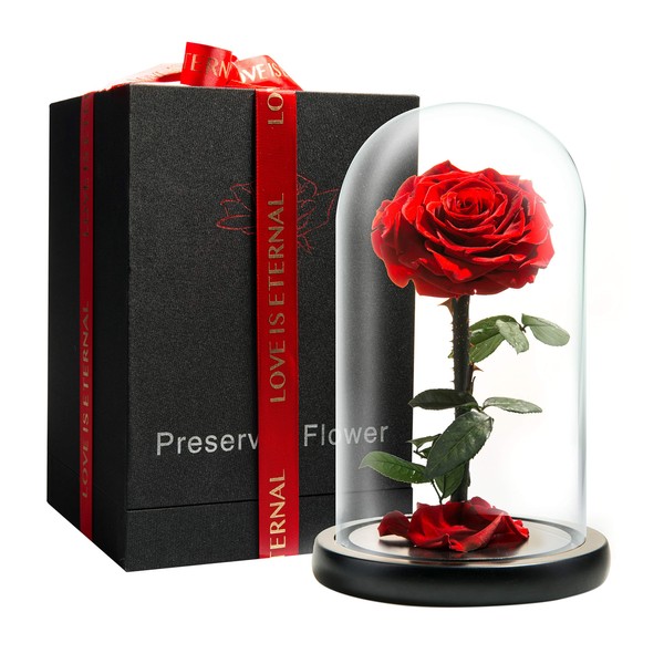 LOVAPPY Eternal Enchanted Forever Preserved Rose - Infinity Rose in Glass Dome - Made from Real Fresh Beauty Rose - Romantic Gifts for Female - Valentines Day - Gift for Mom (red, 9 inch)