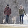 SportDOG Brand Canvas Dummies - Hunting Dog Training Tool -