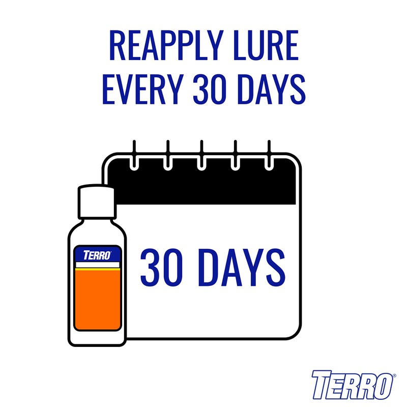 TERRO T3220 Refillable Spider & Insect Trap Attracts Pests with