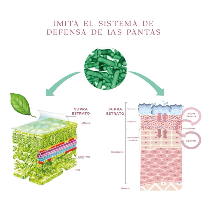 Suero Facial Piel Grasa Control De Acné Niacinamida Nunun Grasa