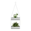 Danya B. Two-Tier Hanging White Metal Trough Wall Planter