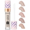 (에블린 코스메틱)에블린 워터푸르프 컨실러 Evelyn Waterproof Concealer