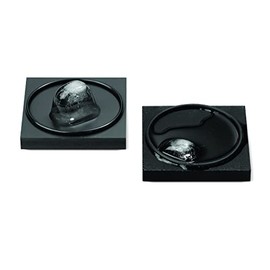 Arbor Scientific Ice Melting Experiment Kit - Aluminum & Foam Blocks, O-Rings & Instructions