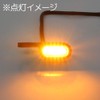 Ultra Mini Micro Mini LED Turn Signal, EH Black Body,