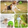 3 Pieces Dog Toy Ball 5cm Treat Dispenser Ball Toy,Teeth
