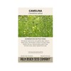 Palm Beach Medicinal Herbs - Camelina (Camelina Sativa) - Packet