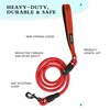 Aepeasti Heavy Duty Dog Leash - Durable & Reliable Pet