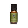 P&J Trading Fragrance Oil for Diffusers for Home - Fig