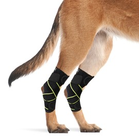 PETNEDO Dog Canine Rear Leg Hock Joint Brace, Pair of Dog Leg Double Compression Brace with Metal Spring Strips, Protects Hind Leg Wounds, Injuries and Sprains Helps Arthritis-M