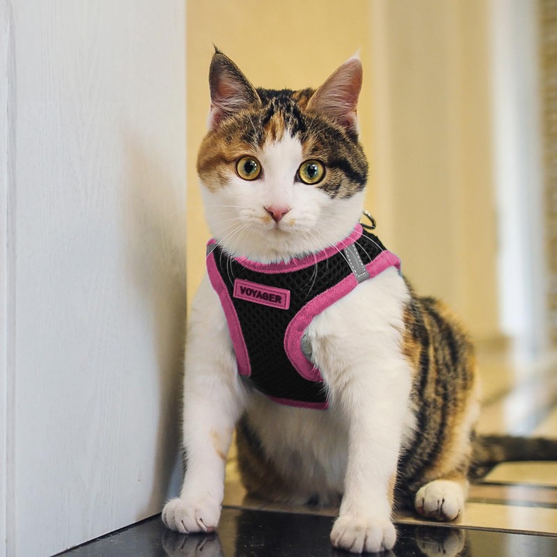 Voyager Step-in Air Dog Harness - All Weather Mesh, Reflective,