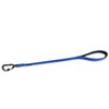 Hyhug Pets 24 Inches Nylon Traffic Short Leash with Soft