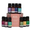 ECO. Modern Essentials Favourites Collection, 10 x 10ml