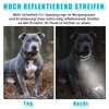 Soft Neoprene Padded Dog Collar (4 cm Wide), Reflective Dog