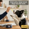 KEEPAW Liquid Hip & Joint Supplement for Senior Dogs 16