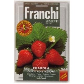 Franchi Seeds, 63/1 Seasonal Strawberry