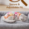 CELONROMF 2-Pack Pet Post-Surgery Recovery Suit for Cats Dogs, Abdominal