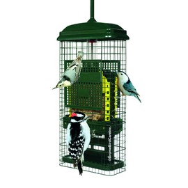Squirrel Buster Suet Squirrel-Proof Suet Bird Feeder with Two Suet Cake Trays, Two Crumb Ports, Mess-Free Suet Loading, Durable Green Design for Clinging Birds