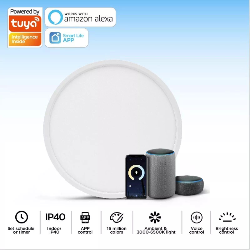 TALOYA Smart Ceiling Light Flush Mount LED WiFi,Compatibl