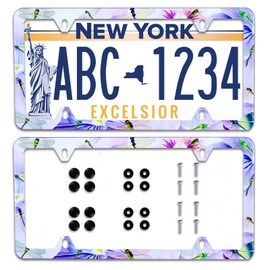 【2Pcs】 Beautiful Dragonfly and Purple Flower License Plate Frame Stainless Steel Car License Plate Frame Accessory Car Plate Frame Decor 12.3" x 6.3"for US Canada Vehicle Standard Size