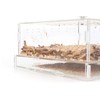 WOLEDOE Acrylic Superworms Keeper, Mealworms Container fit Dubia Roach -
