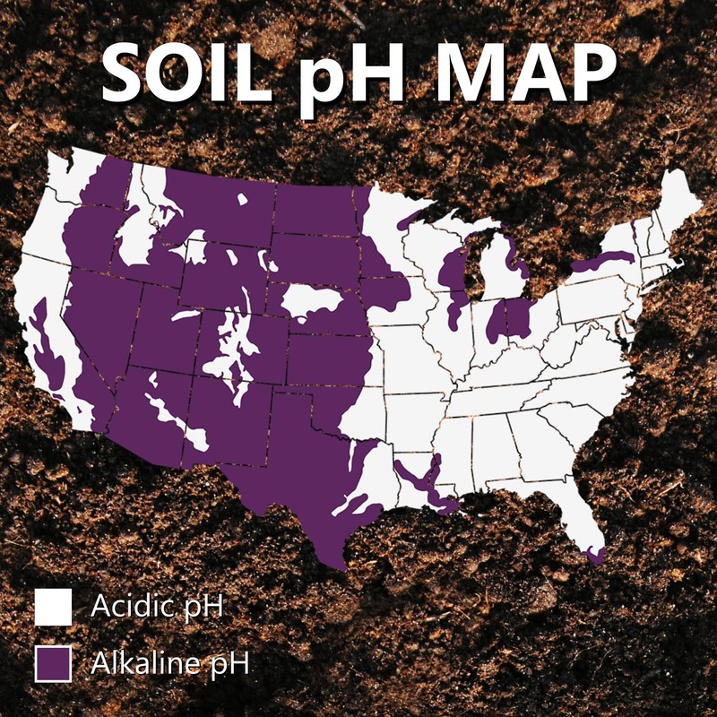 Jonathan Green (11357) Mag-I-Cal Plus Soil Food for Lawns in