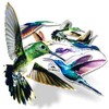 Imaggge.com - 12 x Birds - Repositionable Electrostatic Stickers -