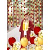 Graduation Decorations Red Gold 2025/Red Party Decorations/Valentines Day Backdrop USC