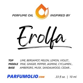 ParfumOlio EROLFA type Perfume Oil Replica - Fragrance Body Oils - 10ml - Men's