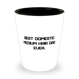 Best Domestic Medium Hair. Shot Glass, Domestic Medium Hair Cat Ceramic Cup, Love Gifts For Domestic Medium Hair Cat from Friends, Cool cat gifts, Domestic medium hair cat gifts, Medium hair cat